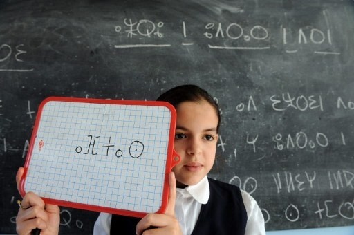 L-enseignement-berbere-primaire-devenu-obligatoire-avec-pour-objectif-generalisation-2012-Mais-aujourd-seuls-15-ecoliers-sont-concernes_0_730_340